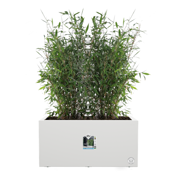 vivo next lang 60cm wit